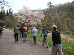 写真1