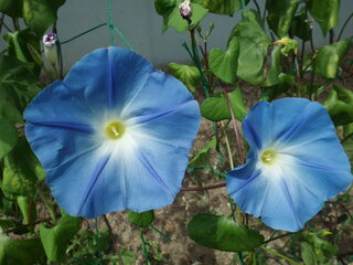 画像 070.jpg