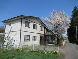 R2.4桜.JPG