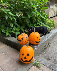 ハロウィン2.JPG