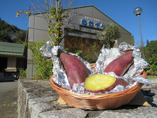 IMG_5889.JPG