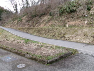 452_0062.JPG