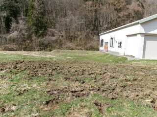 452_0066.JPG