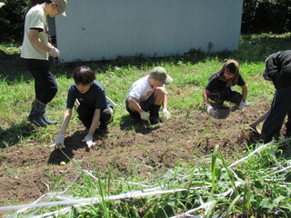 IMG_8895.JPG