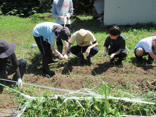 IMG_8894.JPG