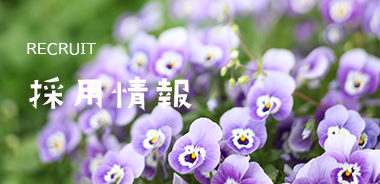 採用情報